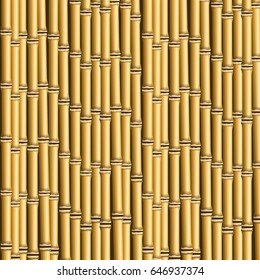 bamboo forest set. spa nature. plant tree with leaves.