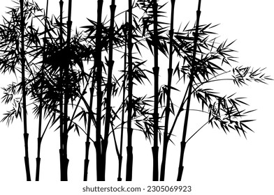 Bamboo forest silhouette. Vector isolated design element