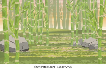 Bamboo forest at sunset. Realistic vector landscape