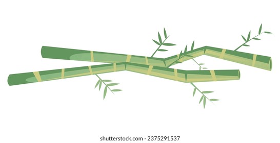 Bamboo forest tree plant isolated concept. Vector flat graphic design illustration
