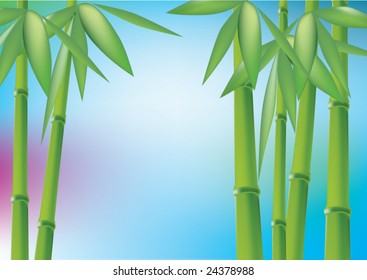 Bamboo forest, vector illustration