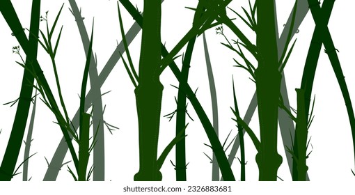 bamboo forest with white background