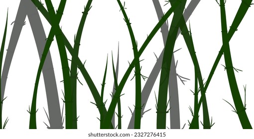 bamboo forest with white background