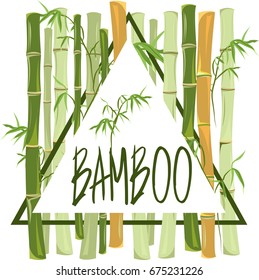 bamboo. frame