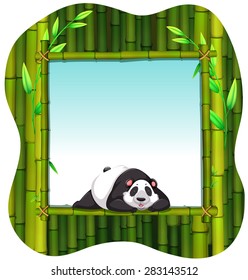 Bambusrahmen mit süßem panda-Schlafhintergrund