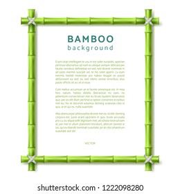 Bamboo frame. Eco spa resort vector background