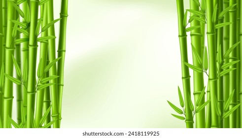 Bambusrahmen. Grüne Bannerrahmen mit Bambussteinen und -blättern, chinesischer Wald und Zen-Grenz-Vektorhintergrund-Illustration von grünem Banner-Rahmen-Bambus