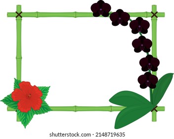 Bamboo frame with hibiscus and phalaenopsis orchid leaves and flowers vector illustration