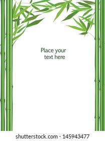 bamboo frame with leaves decor. vector illustration isolated on white background 