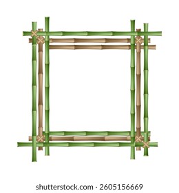 Bamboo frame made of green and brown stems tied with a rope