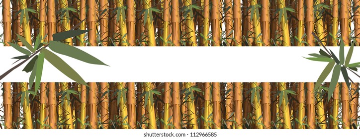 Bamboo frame made of bamboo shoots (a tropical plant)