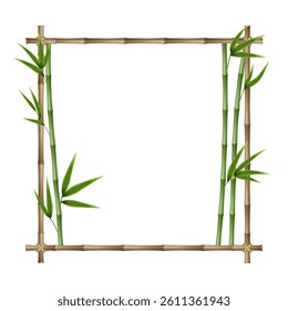 Bamboo frame made of stems and green leaves tied with a rope