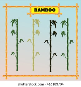 bamboo frame, bamboo shoots
