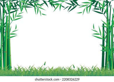 Bamboo frame. Vector bamboo tree. Blank template with bamboo frame