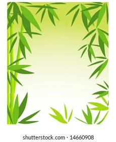 bamboo frame vertical