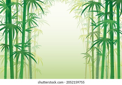 Bamboo Garden Forest Background, Natural Scenery and Environment View