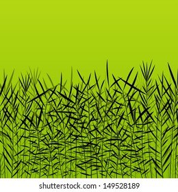Bamboo, grass, reed and wild plants detailed silhouettes illustration background vector