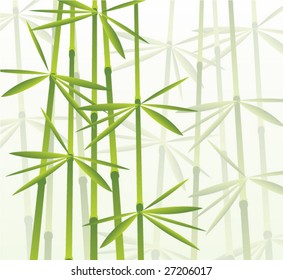 Bamboo grass, vector illustration