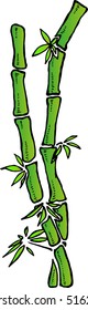Bamboo grass. Vector illustration of a bamboo plant. Green bamboo symbol icon.