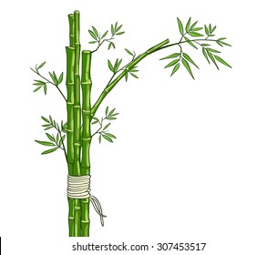 Bamboo green background. Vector card.