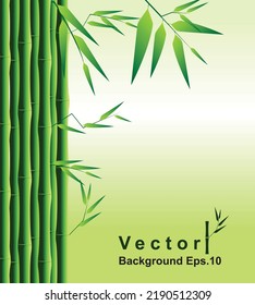 Bambus-grüner Hintergrund Vektor Eps10