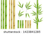 Bamboo green and brown decoration elements in realistic style. Seamless vertical borders from stems, isolated leaves and sticks and fresh natural plant.