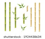 Bamboo green and brown decoration elements in realistic style. Realistic 3d Detailed Bamboo Shoots Set Eco Decorative Element
