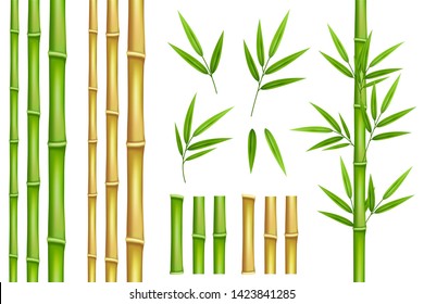 Бамбуковые зеленые и коричневые элементы декора в реалистичном стиле. Бесшовные вертикальные границы из стеблей, изолированных листьев и палочек и свежих натуральных растений.