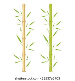 Bamboo green and brown decorative elements in a realistic style. Seamless vertical borders from stems, isolated leaves and sticks and fresh natural plants. Eco Decorative Element. Vector illustration