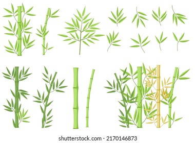 Bamboo green decoration elements in flat style. Vertical borders from stems, isolated leaves and sticks and fresh natural plant. Detailed bamboo shoots set