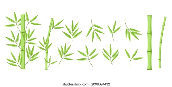 Bamboo green decoration elements in realistic style. Vertical borders from stems, isolated leaves and sticks and fresh natural plant. Detailed bamboo shoots set