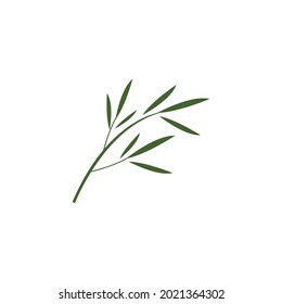 Plantilla vectorial de ilustraciones del logotipo de hoja verde de bambú