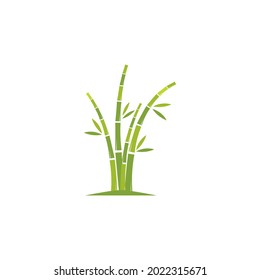 Bamboo with green leaf logo ilustration vector template