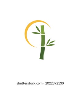 Bamboo with green leaf logo ilustration vector template