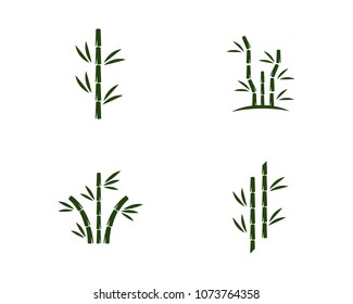 Bamboo with green leaf vector icon template