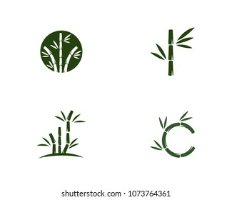 Bamboo with green leaf vector icon template