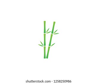 Bamboo with green leaf vector icon template - Vector