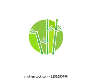 Bamboo with green leaf vector icon template - Vector