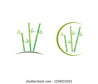 Bamboo with green leaf vector icon template - Vector