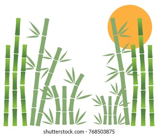 Bamboo with green leaf vector template
