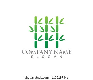 Bamboo with green leaf for your logo icon vector template