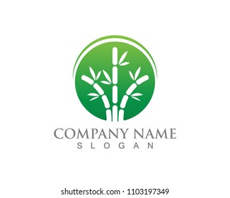 Bamboo with green leaf for your logo icon vector template