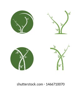 Bamboo with green leaf for your logo icon vector template