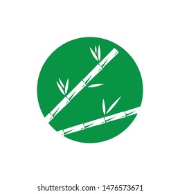 Bamboo with green leaf for your logo icon vector template