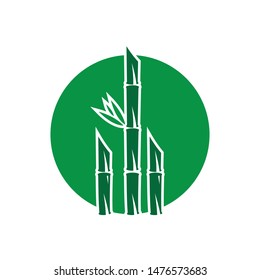 Bamboo with green leaf for your logo icon vector template