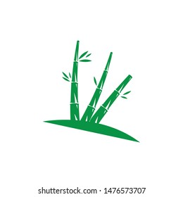Bamboo with green leaf for your logo icon vector template
