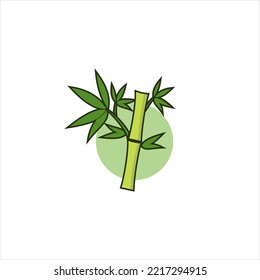 Bamboo with green leaf for your logo icon vector template