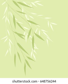 Bamboo green leaves