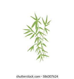 Bamboo green plant isolated vector nature illustration