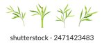 Bamboo Green Stalk or Branch with Leaf Vector Set
